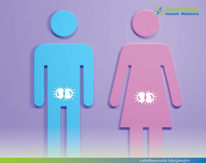 การติดเชื้อของหนองในในผู้หญิงและผู้ชาย การติดเชื้อของหนองในในผู้หญิงและผู้ชาย