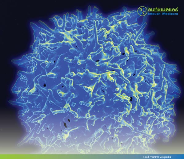 T-cell T-cell