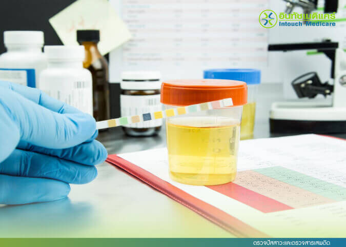 ตรวจปัสสาวะและตรวจสารเสพติด