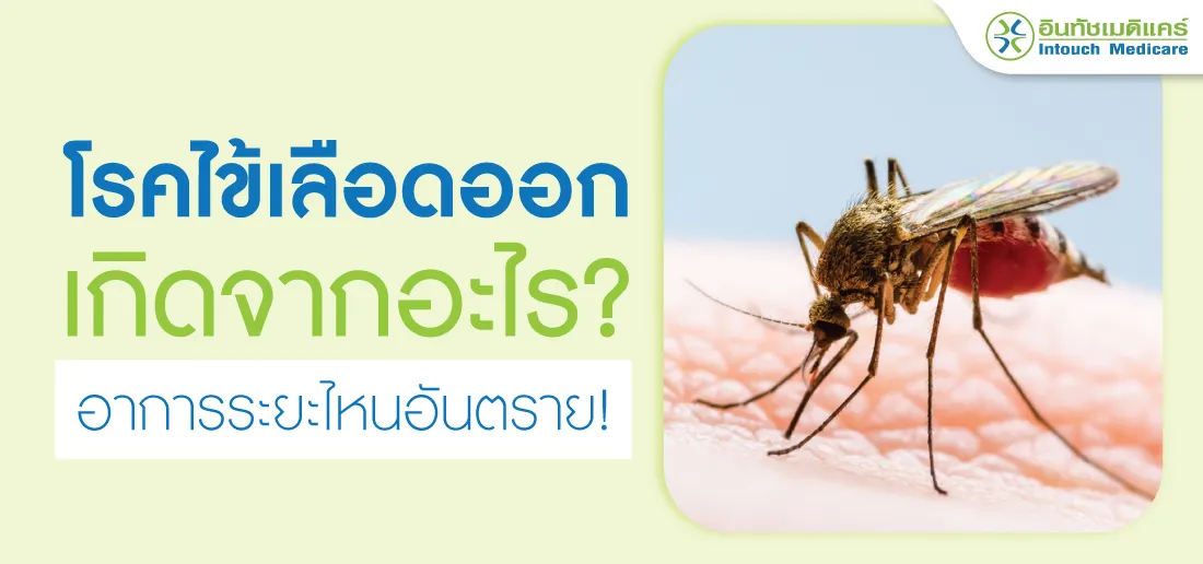 ไข้เลือดออก ไข้เลือดออก