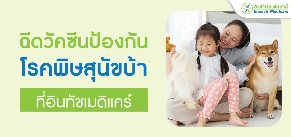 ฉีดวัคซีนป้องกันโรคพิษสุนัขบ้า ที่อินทัชเมดิแคร์ ฉีดวัคซีนป้องกันโรคพิษสุนัขบ้า ที่อินทัชเมดิแคร์