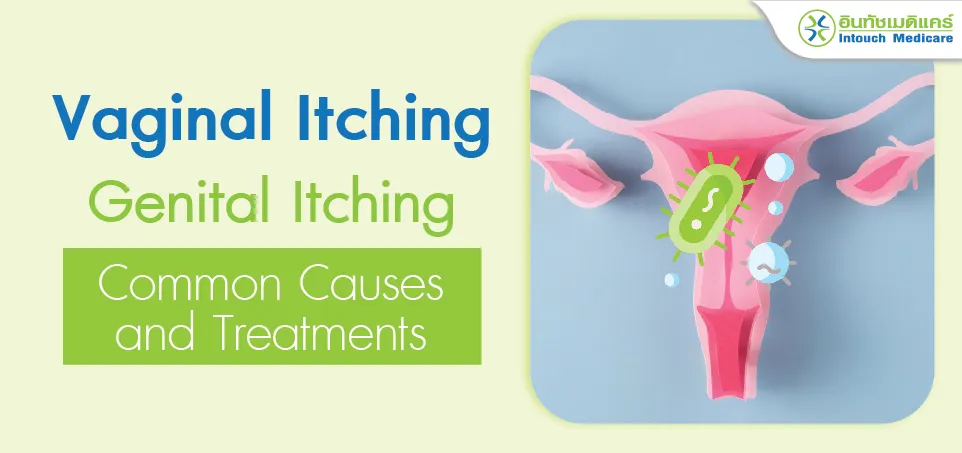 Vaginal Itching or Genital Itching Common Causes and Treatments