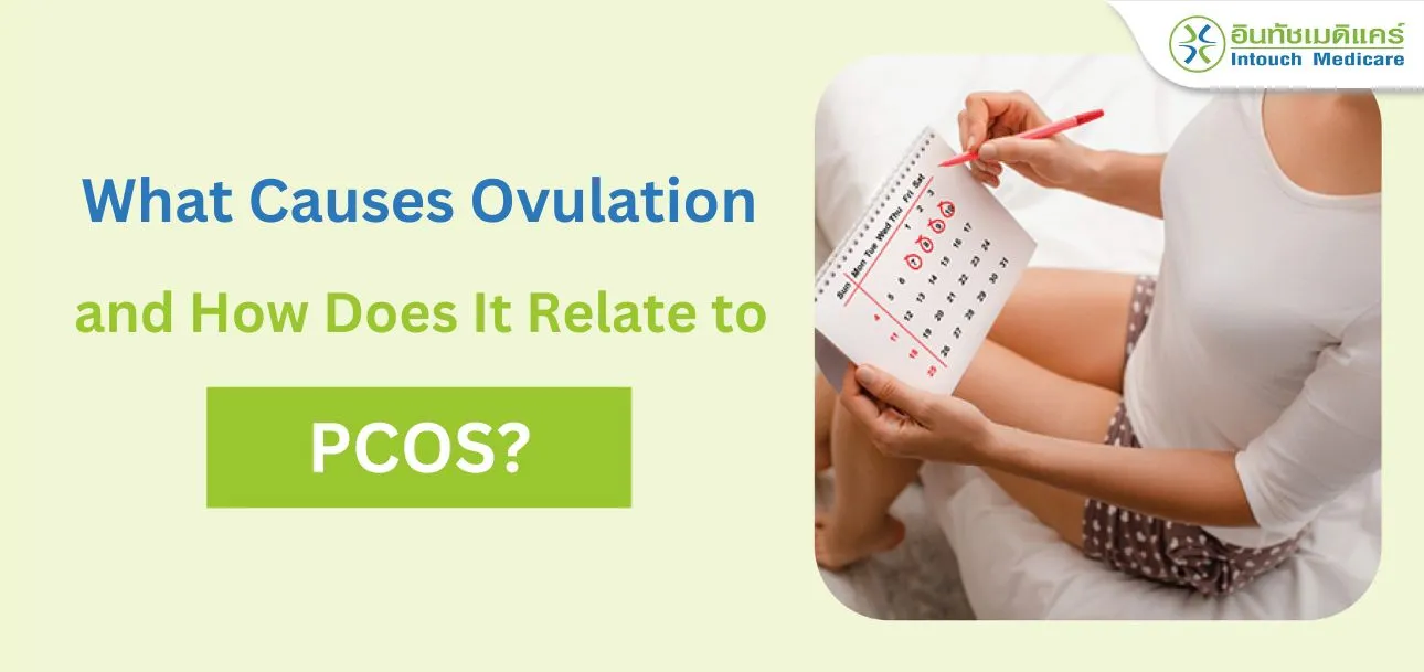 What Causes Ovulation and How Does It Relate to PCOS