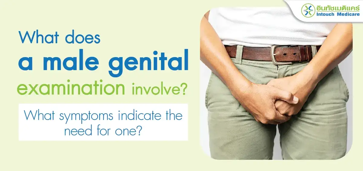 What does a male genital examination involve?