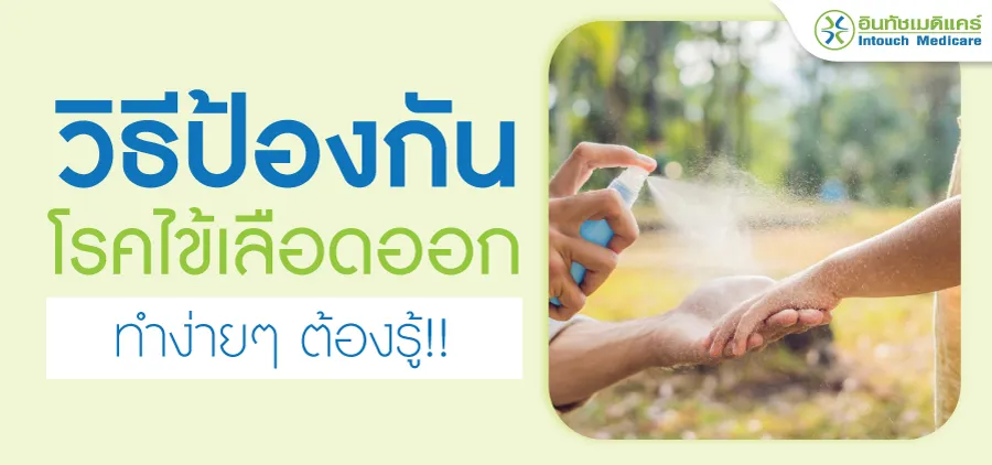 วิธีป้องกันไข้เลือดออก วิธีป้องกันไข้เลือดออก