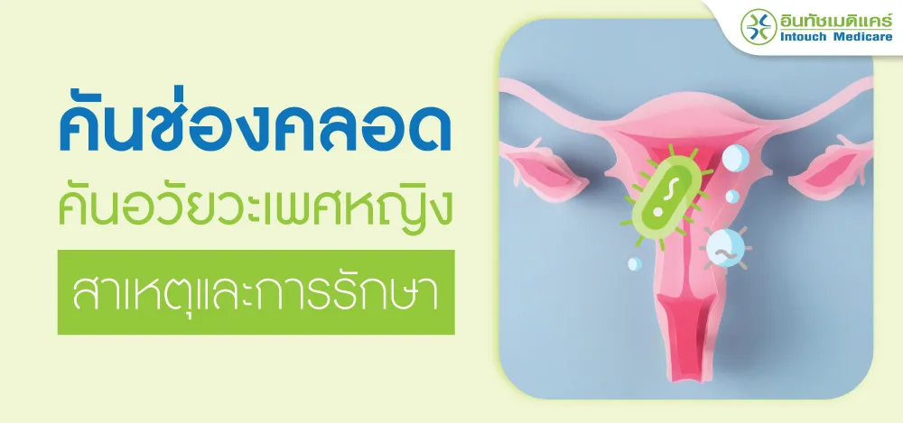 คันช่องคลอด คันอวัยวะเพศหญิง คันช่องคลอด คันอวัยวะเพศหญิง