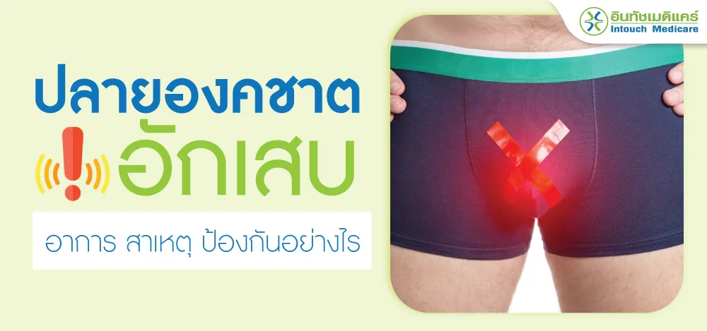 ปลายองคชาตอักเสบ ปลายองคชาตอักเสบ