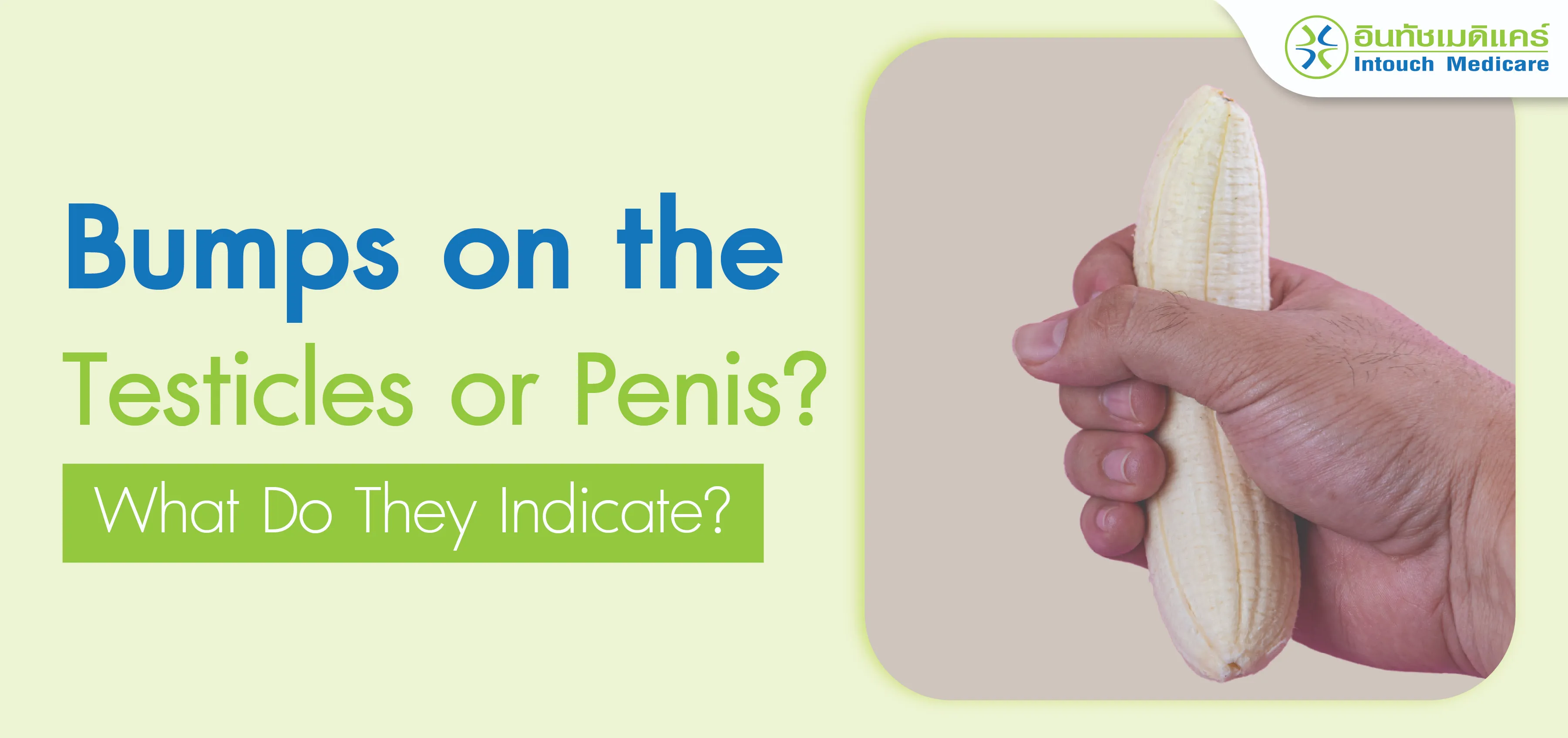 Bumps on the Testicles or Penis? What Do They Indicate? Bumps on the Testicles or Penis? What Do They Indicate?