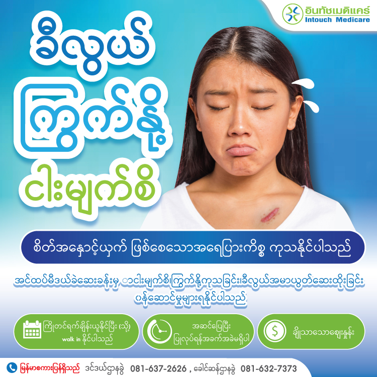 ခီလွယ် ကြွက်နို့ ငါးမျက်စိ ခီလွယ် ကြွက်နို့ ငါးမျက်စိ