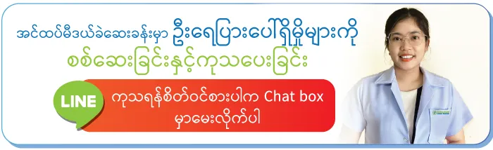 စိတ်ဝင်စားပါကစီဘီတွင်မေးမြန်းနိုင်ပါသည်