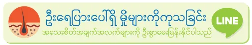 အသေးစိတ်အချက်အလက်များကို ဦးစွာမေးမြန်းနိုင်ပါသည်