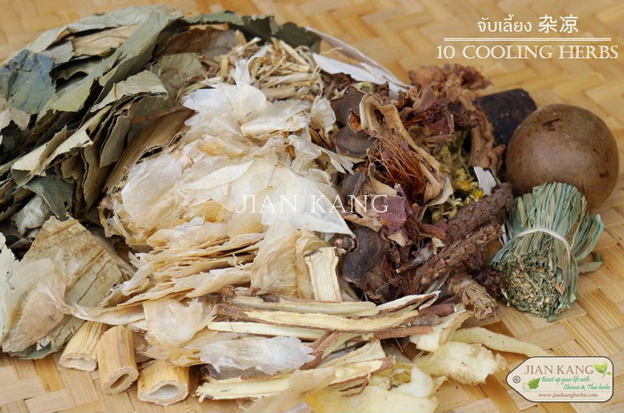 จับเลี้ยง 杂凉 (10 Cooling Herbs) ชุดใหญ่ สำหรับต้มน้ำจับเลี้ยง - jiankangherbshop