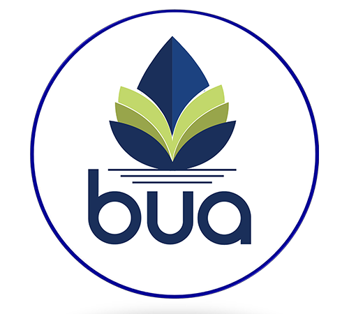 Api Bua buafiberengineer