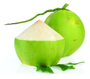 Young coconut มะพร้าวอ่อน