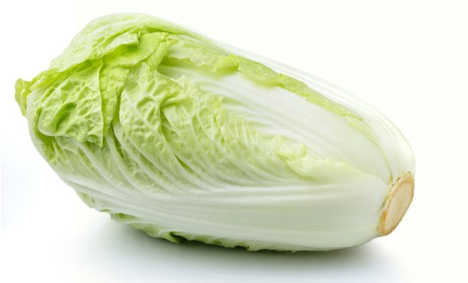 Chinese cabbage ผักกาดขาว