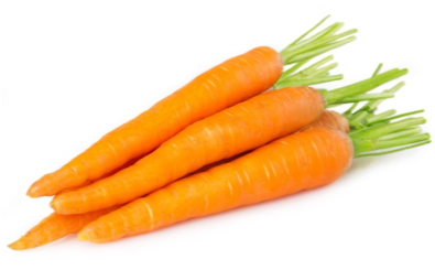 Carrot แครอท