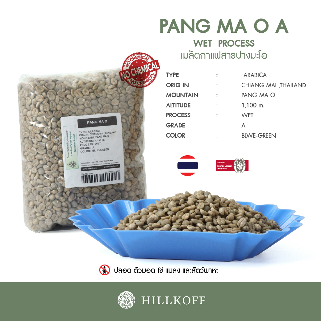 เมล็ดกาแฟสาร Green Beans Arabica Pang Ma O (ปางมะโอ) Grade A,Wet Process (20/21) : 1 Kg.