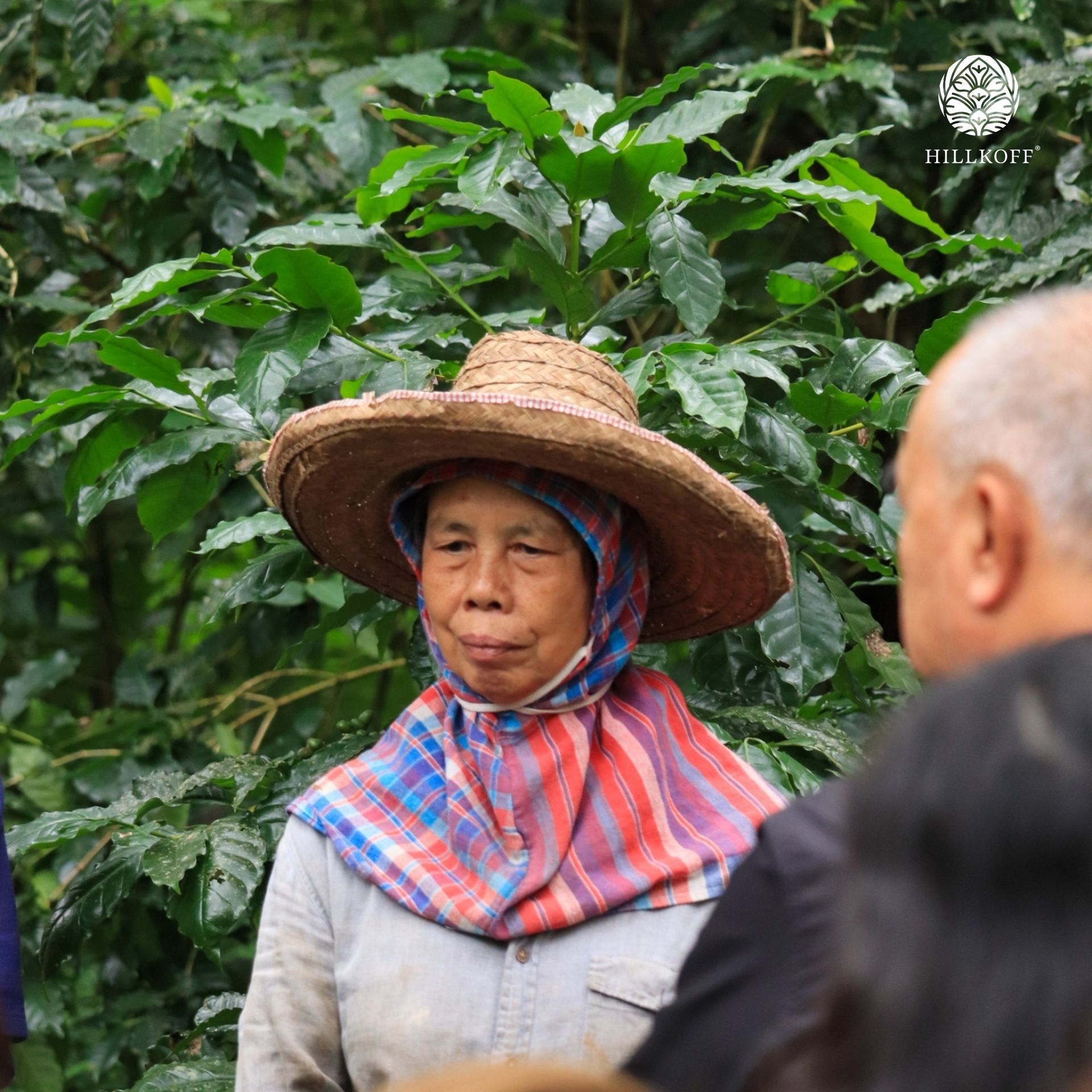 Organic Pang Ma O Coffee