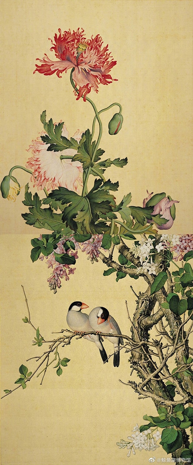 ภาพดอกโบตั๋นโดยหลางซื่อหนิง Lang Shining จิตรกรฝรั่งในราชวงศ์ชิง ภาพดอกโบตั๋นโดยหลางซื่อหนิง Lang Shining จิตรกรฝรั่งในราชวงศ์ชิง