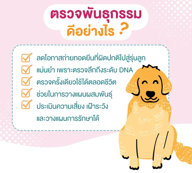 ข้อดีของตรวจพันธุกรรมสุนัข ข้อดีของตรวจพันธุกรรมสุนัข