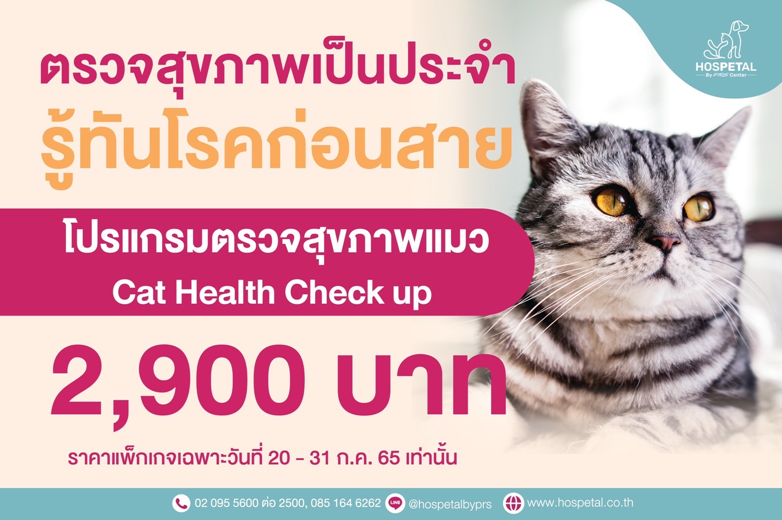 โปรแกรมตรวจสุขภาพ_Cat Health Checkup