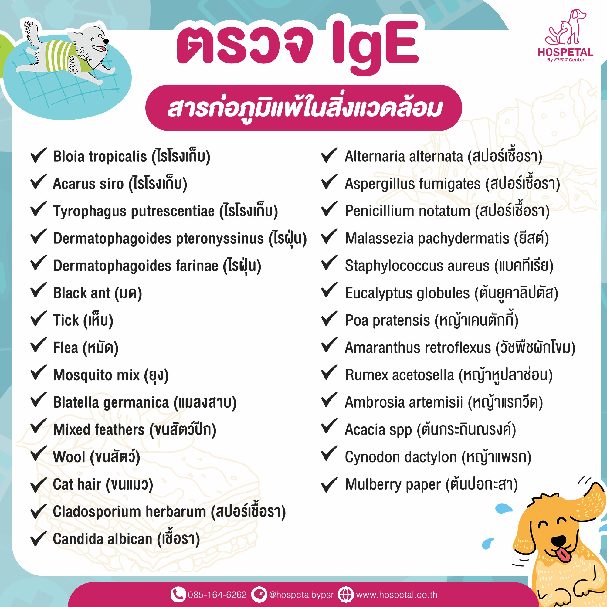 ตรวจภูมิแพ้สัตว์เลี้ยง ตรวจภูมิแพ้สัตว์เลี้ยง