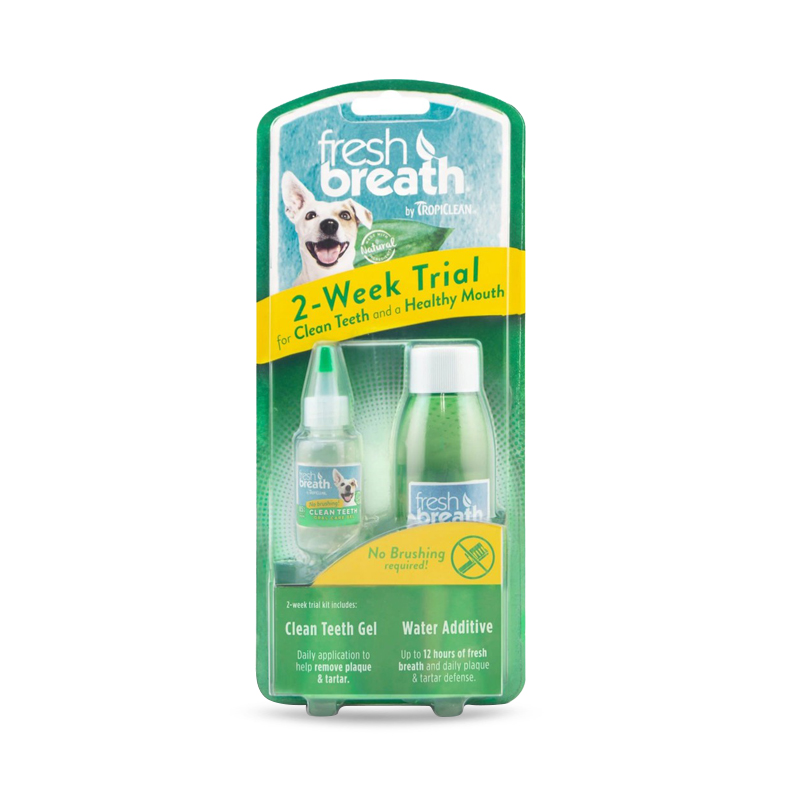 Fresh Breath Dental Trial Kit Counter Display