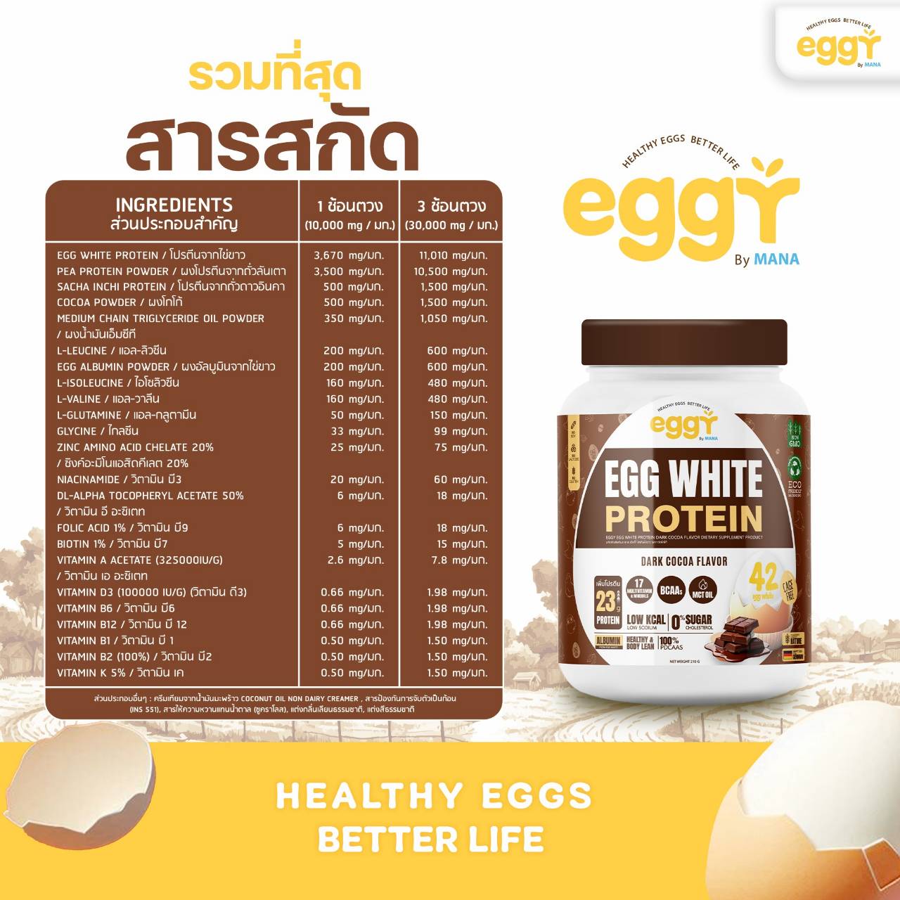 สารสกัด โปรตีนไข่ขาว eggy รสโกโก้