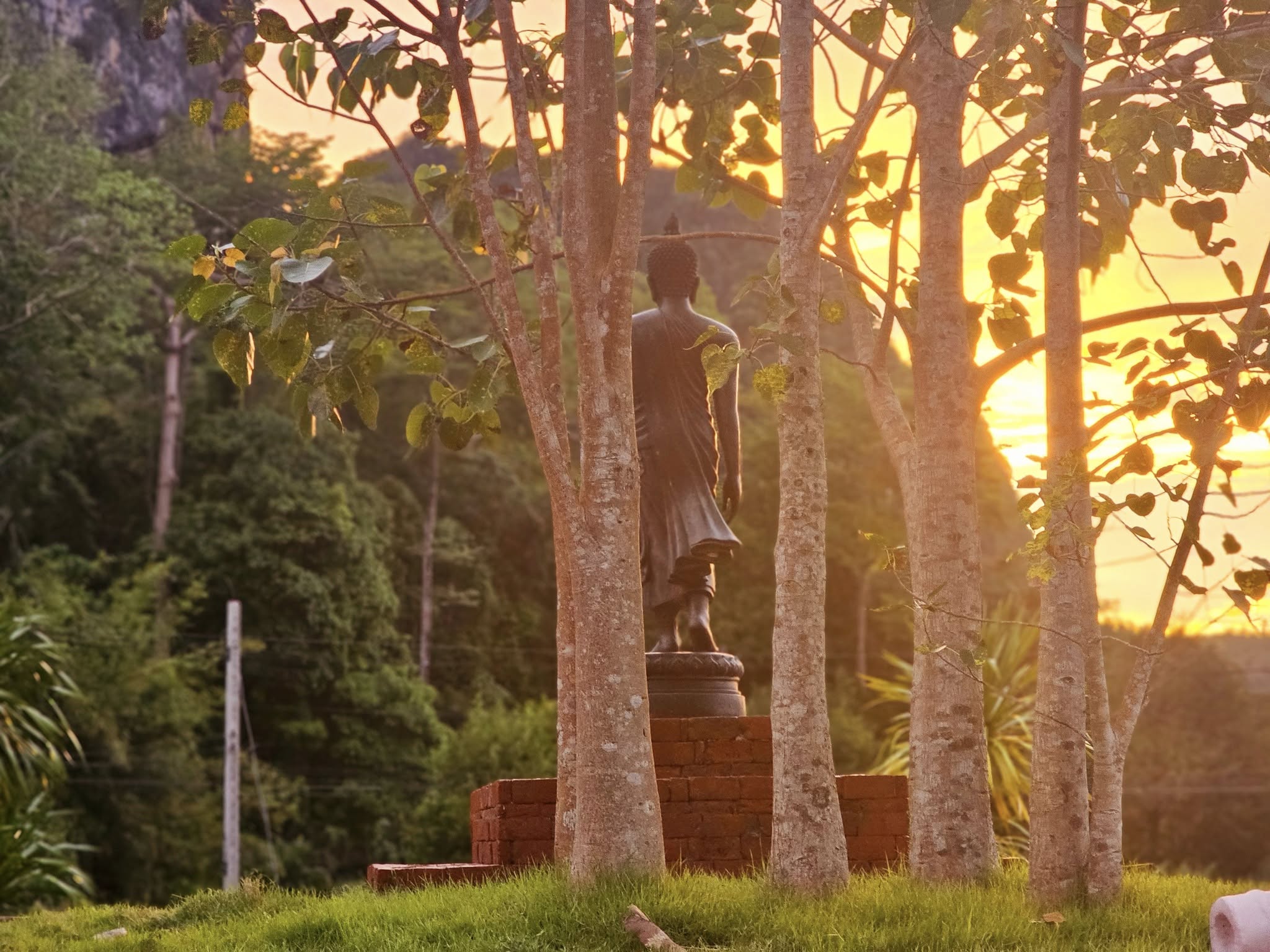 Sriphong Phukaoluan Foundation