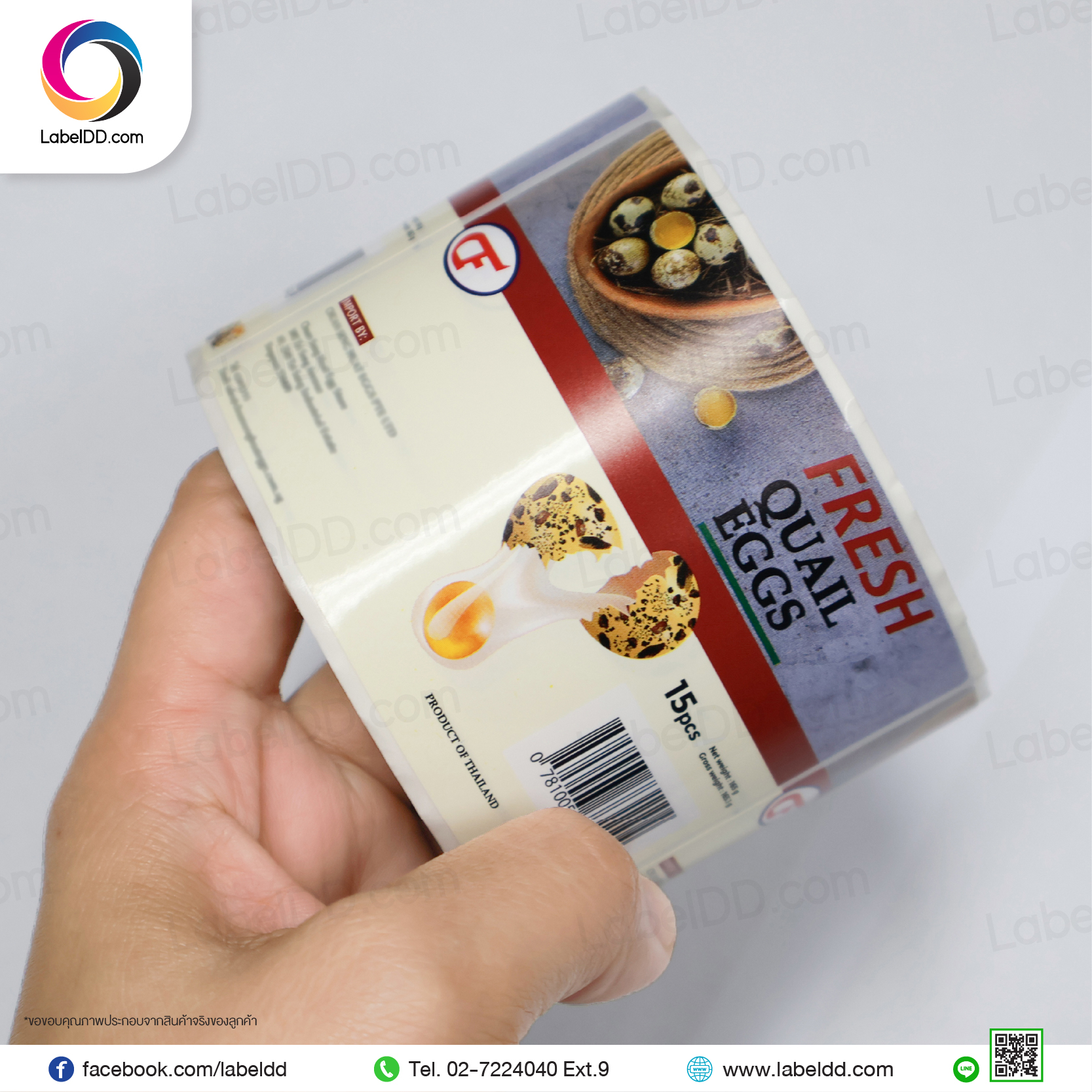 Label Sticker PP Synthetic (ไข่นกกระทา)