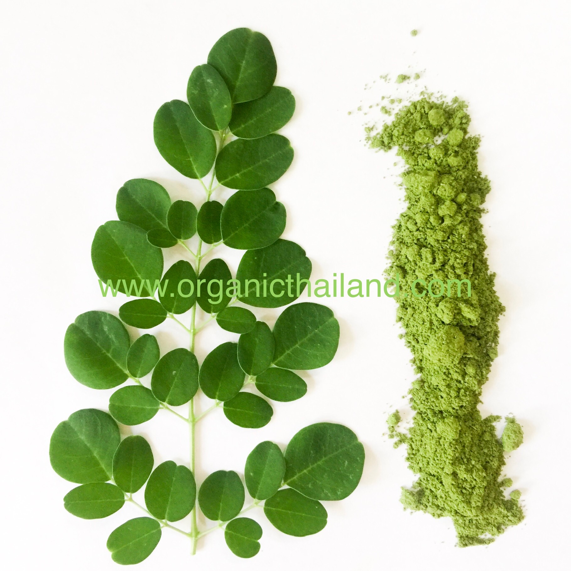 Moringa Leaf Powder 1kg