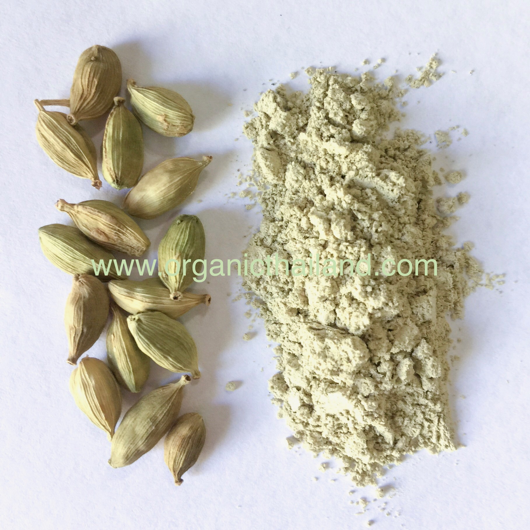 Cardamom Powder 1kg - Organicthailand