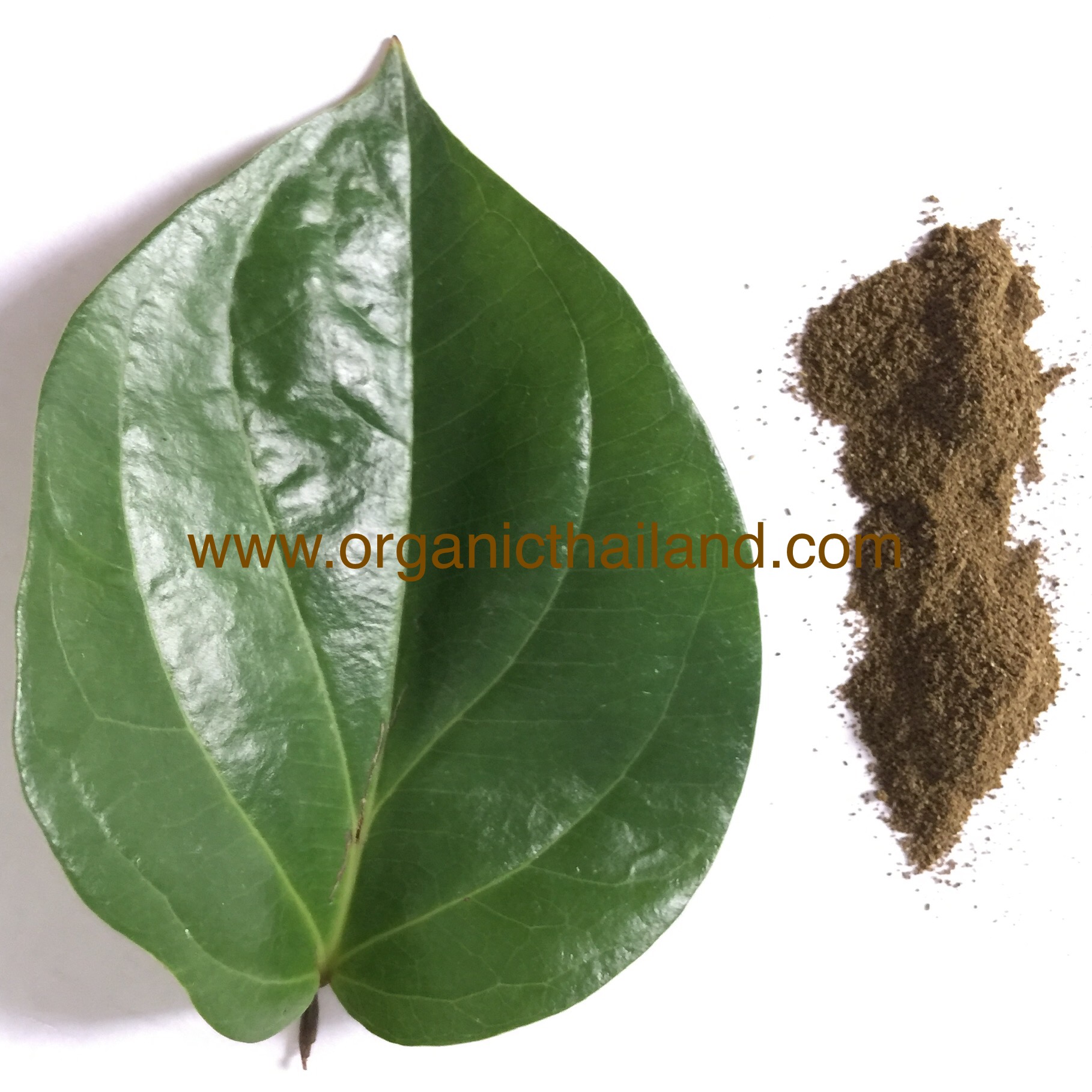 ฺBetel Leaf Powder 100g