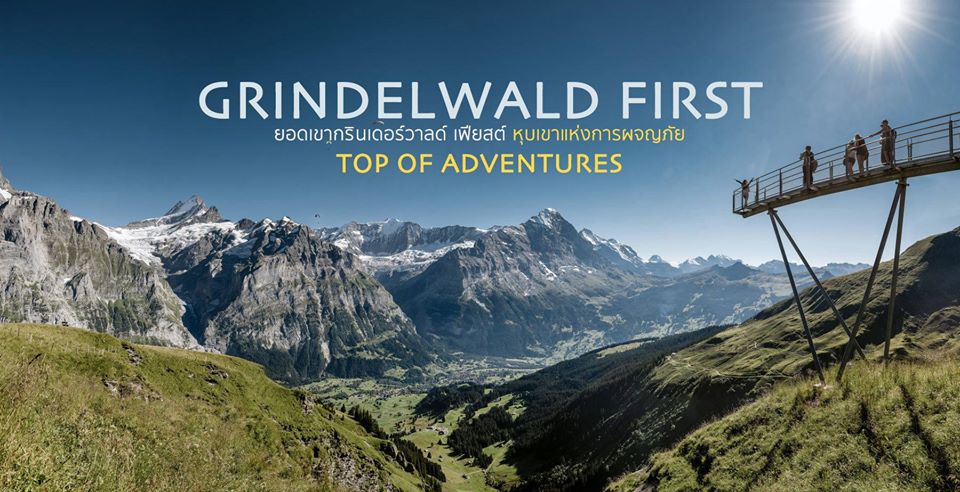 PLACES TO GO IN SWITZERLAND : ผจญภัยบนหุบเขายอดเขากรินเดิลวาลด์ เฟียสต์ (Grindelwald First)