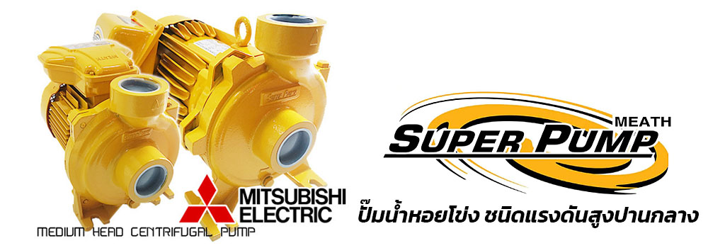 ปั๊มน้ำหอยโข่ง มิตซูบิชิ รุ่น WCM ปั๊มน้ำหอยโข่ง มิตซูบิชิ