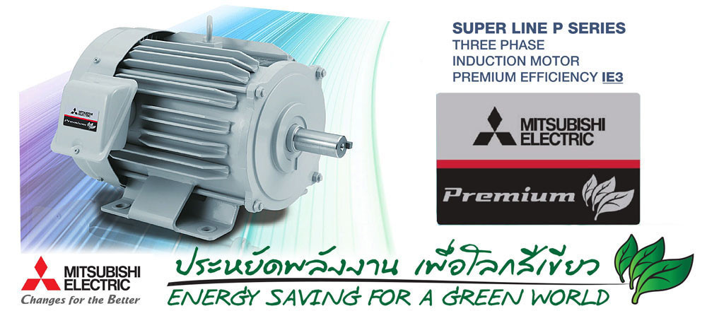 Premium Efficiency Motor มอเตอร์ไฟฟ้า มิตซูบิชิ