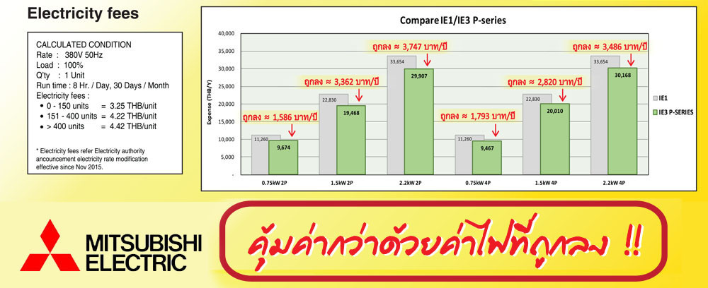 Premium Efficiency Motor มอเตอร์ไฟฟ้า มิตซูบิชิ