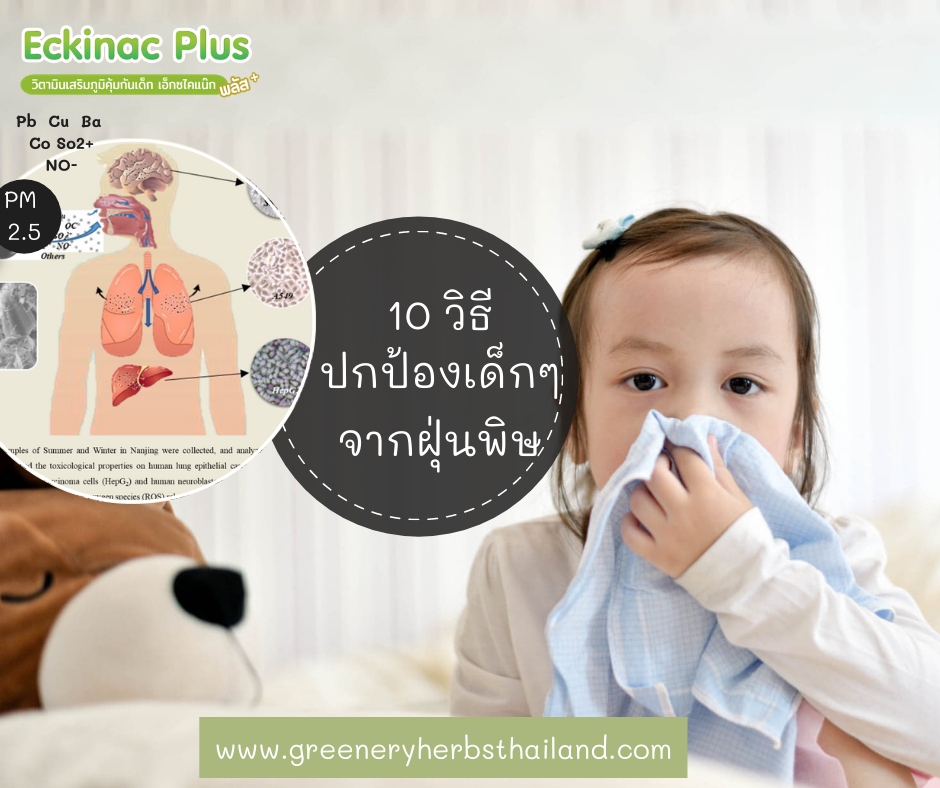 #10วิธีปกป้องเด็กจากฝุ่นพิษ