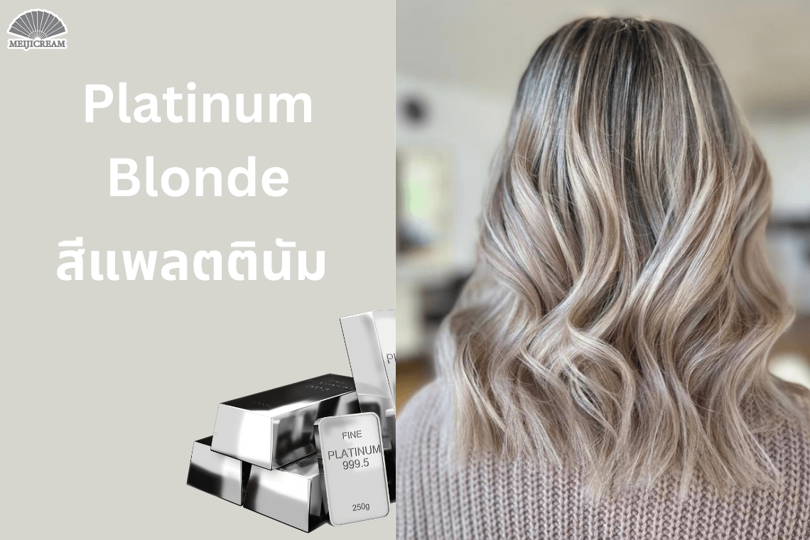สีผมบลอน สีผมแพลตินัม ผมสีเงิน บาลายาจ สีผมเสริมดวง 2567 สีผมมงคล เทรนด์สีผม 2024 ย้อมสีผมไหนดี สีผมฮิต สีผมถูกโฉลก สีผมราศี