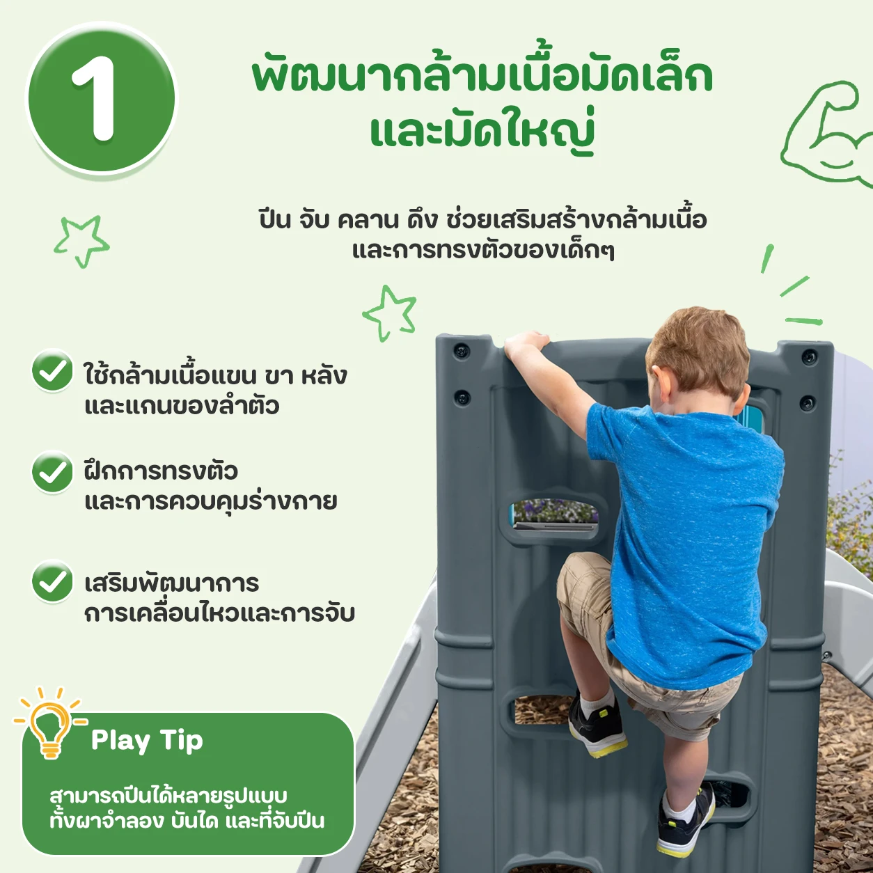 พัฒนากล้ามเนื้อมัดเล็กและมัดใหญ่
