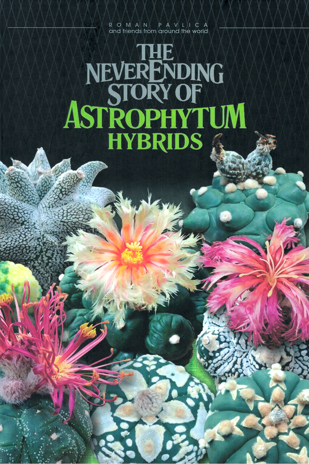 The Neverending Story of Astrophytum hybrids (Eng)