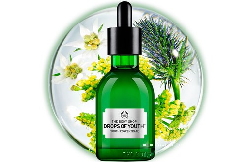 [The Body Shop] The Body Shop Drops of Youth Youth Concentrate 50ML