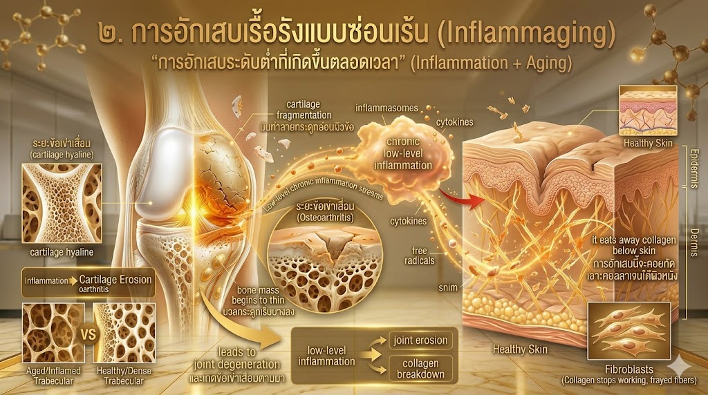 การอักเสบ Inflammation