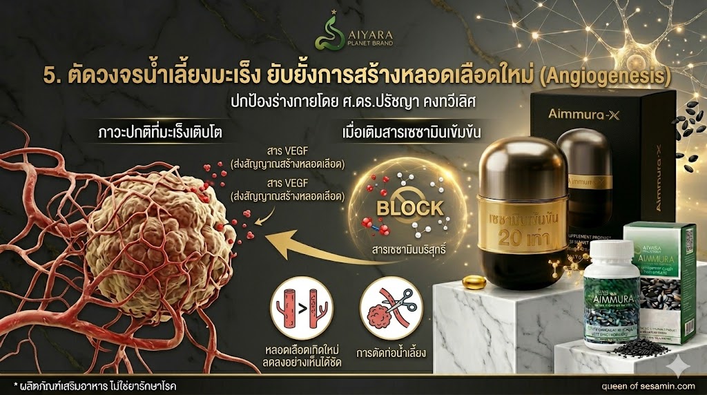 ประโยชน์เซซามิน ตัดท่อน้ำเลี้ยงการสร้างหลอดเลือดใหม่ เอมมูร่า เซซามิน
