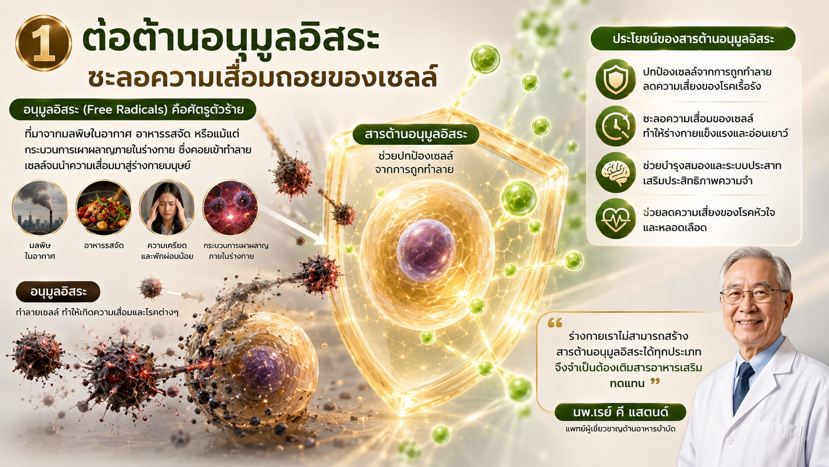 ประโยชน์เซซามิน ต้านอนุมูลอิสระ เอมมูร่า เซซามิน