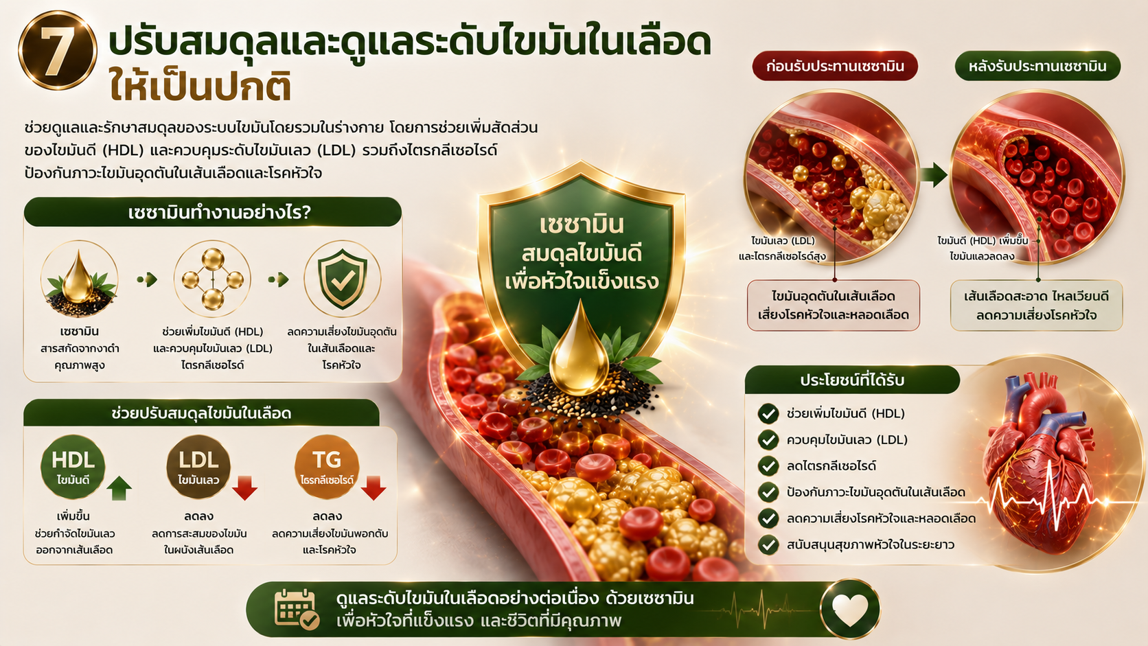 ประโยชน์เซซามิน ปรับสมดุลไขมันในเลือด เอมมูร่า เซซามิน