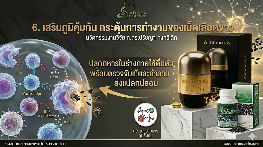ประโยชน์เซซามิน เสริมภูมิคุ้มกัน กระตุ้นการทำงานของเม็ดเลือดขาว