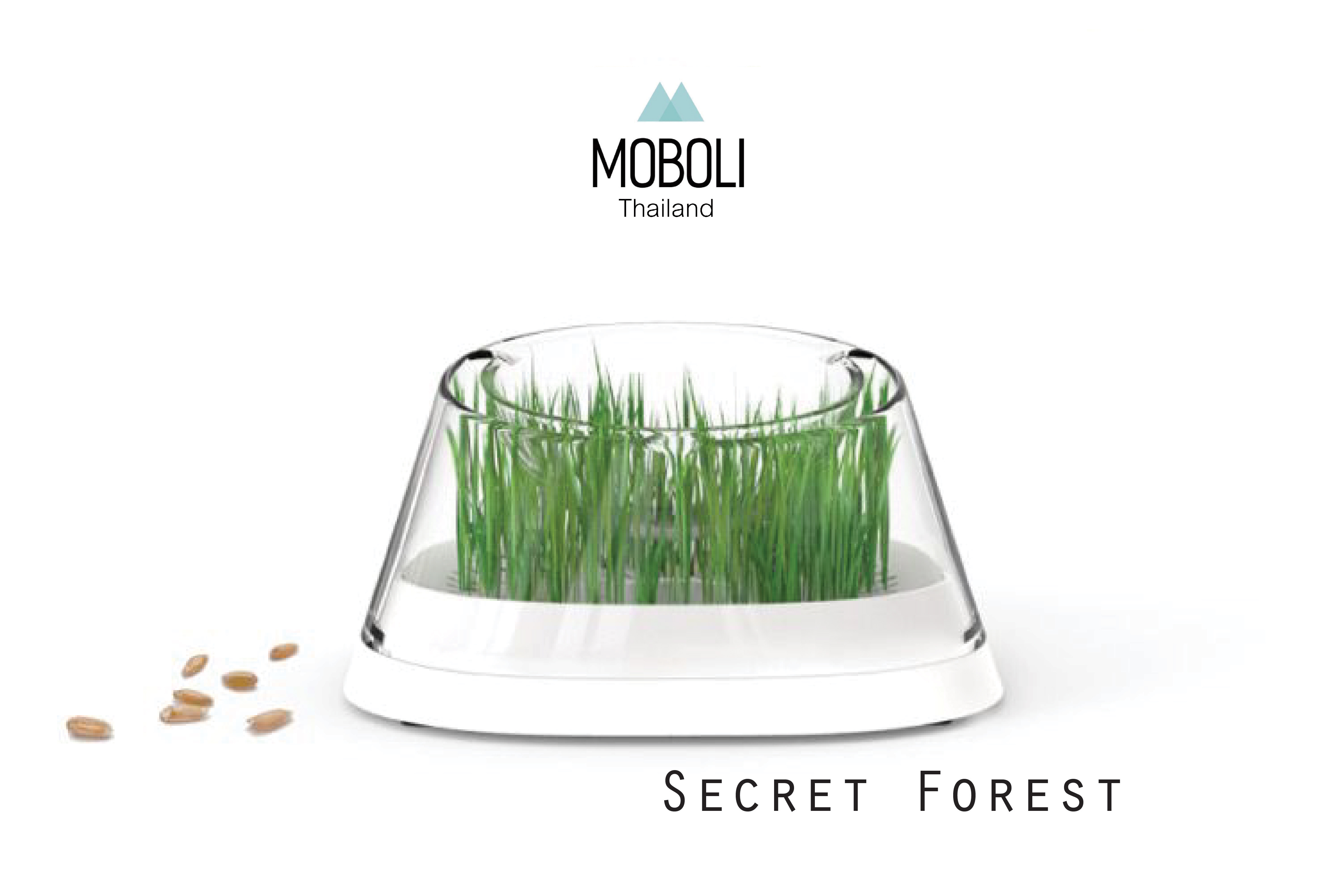 Moboli : Secret Forest (ชามอาหารปลูกข้าวสาลีได้)