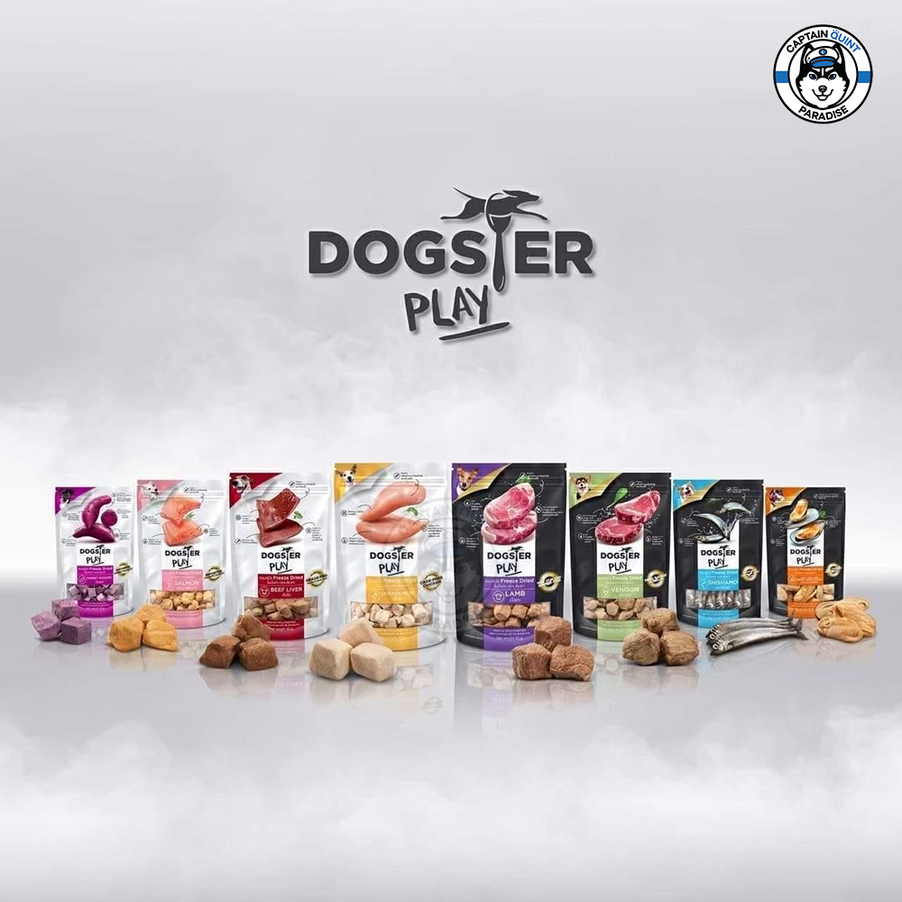 Dogster Play ขนมฟรีซดรายสำหรับสุนัข  40g.