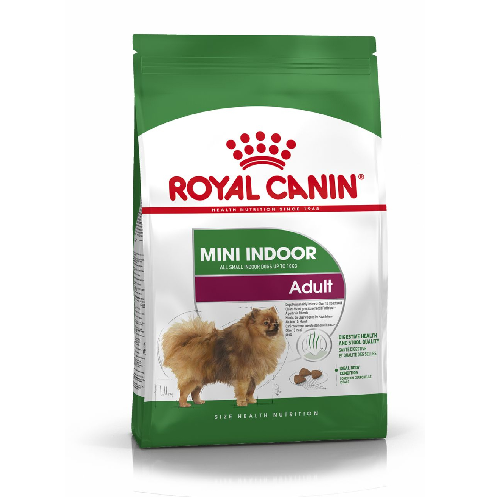 Royal Canin Mini Indoor Adult อาหารสุนัขโต ขนาดเล็ก เลี้ยงในบ้าน